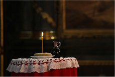 Помен Владимиру Димитријевићу